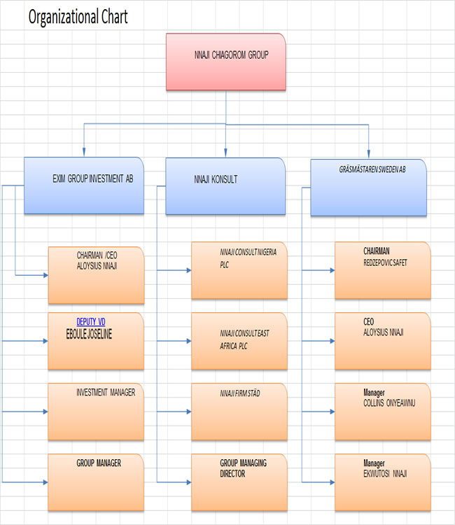 Organizational Structure